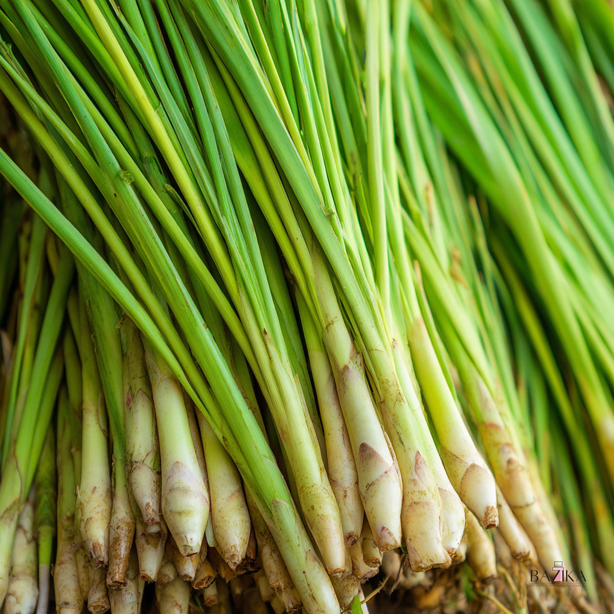 Eterično ulje limunove trave (Lemongrass Oil) (INCI: Cymbopogon Flexuosus Oil) – kozmetička sirovina, Bazika.rs