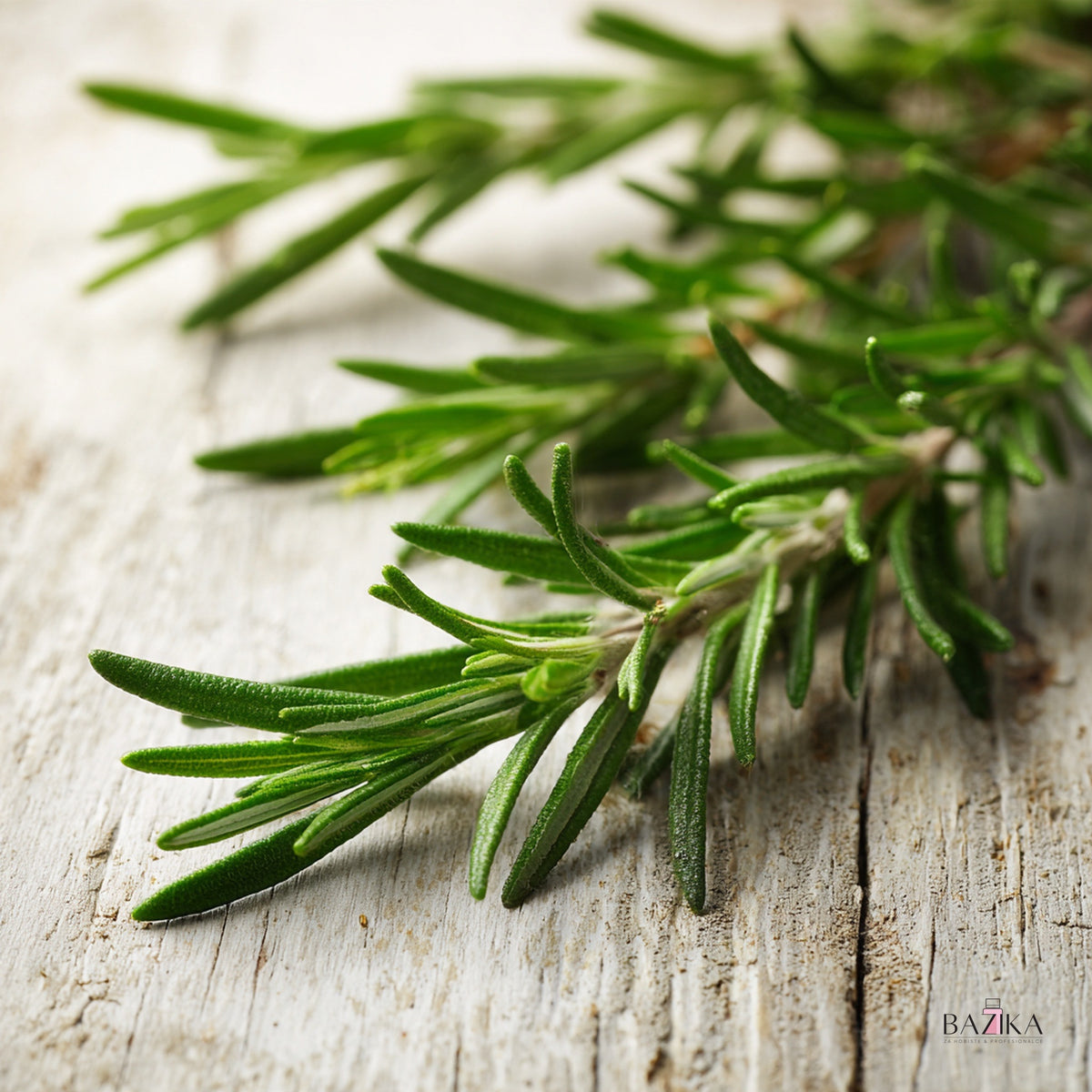 Eterično ulje ruzmarina (Rosemary Oil), španski tip – kozmetička sirovina, Bazika.rs